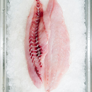 A filet of tilapia