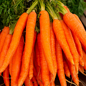a bundle of carrots