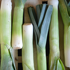 Leeks