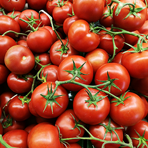 several tomatoes