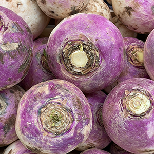 several turnips
