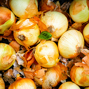several onions